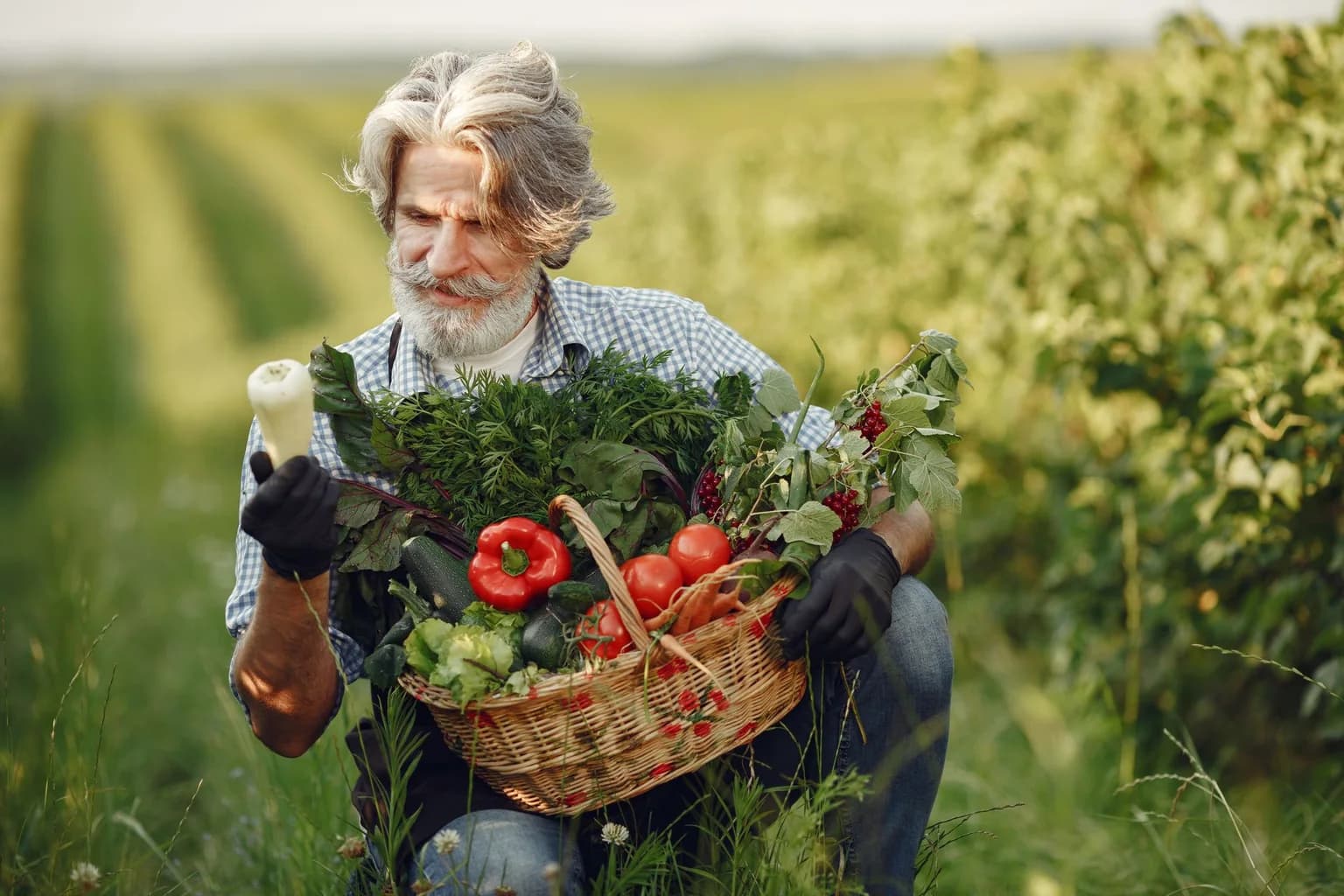 Farmer holding a basket of freshly harvested vegetables in a field